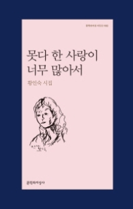못다 한 사랑이 너무 많아서 (문학과지성 시인선 492)